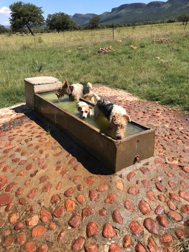 6 Bedroom Property for Sale in Remhoogte AH North West